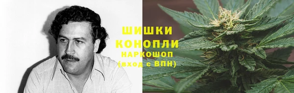 ПСИЛОЦИБИНОВЫЕ ГРИБЫ Алексеевка