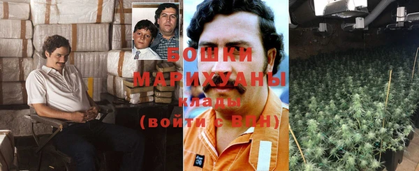 ПСИЛОЦИБИНОВЫЕ ГРИБЫ Алексеевка